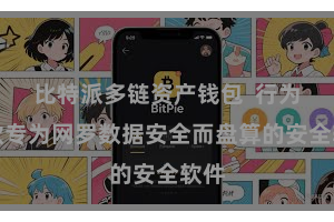 比特派多链资产钱包  行为一款专为网罗数据安全而盘算的安全软件