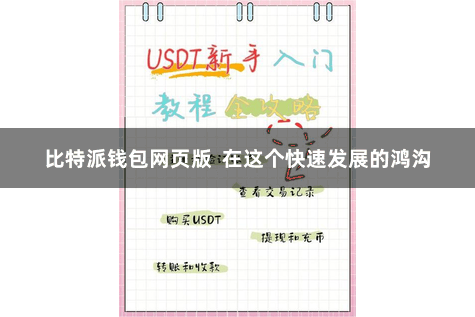 比特派钱包网页版  在这个快速发展的鸿沟